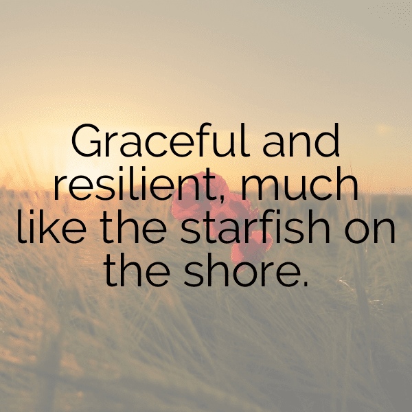 199+ Starfish Captions For Instagram (Fresh & Trendy) 5 Starfish Captions Photo For Instagram-OE3vF8