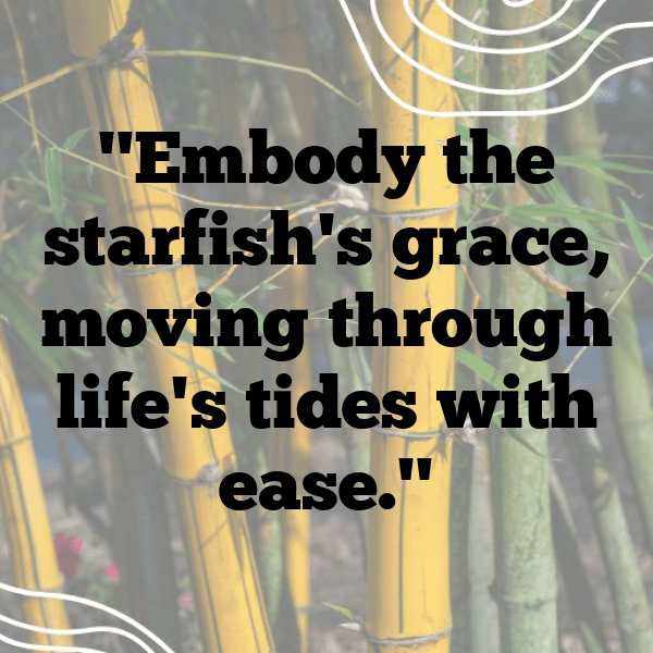 199+ Starfish Captions For Instagram (Fresh & Trendy) 11 Starfish Captions Photo For Instagram-Wjmg2Q