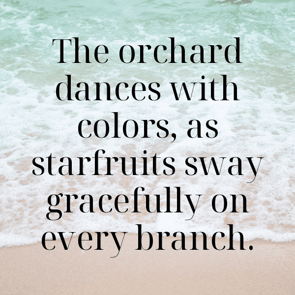 Starfruit Captions Photo For Instagram-MH8LnC