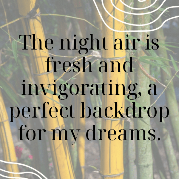 337+ Starry Night Captions for Instagram (Short, Trending & Viral) 4 Starry Night Captions Image for Instagram-sy9Fkt