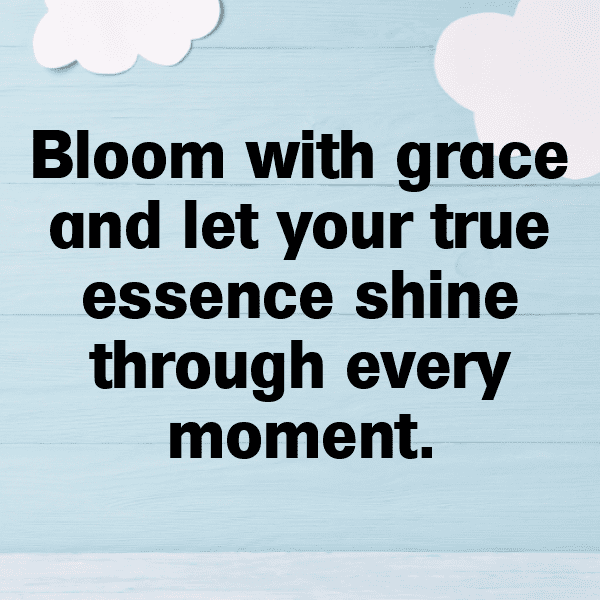 219+ Statice Captions For Instagram (Fresh & Trendy) 4 Statice Captions Image For Instagram-KZ2NgW