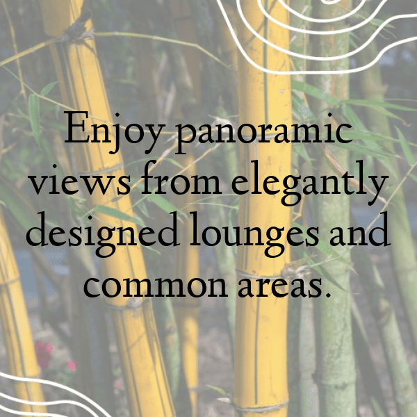 219+ Statice Captions For Instagram (Fresh & Trendy) 17 Statice Captions Image For Instagram-nAbSCw