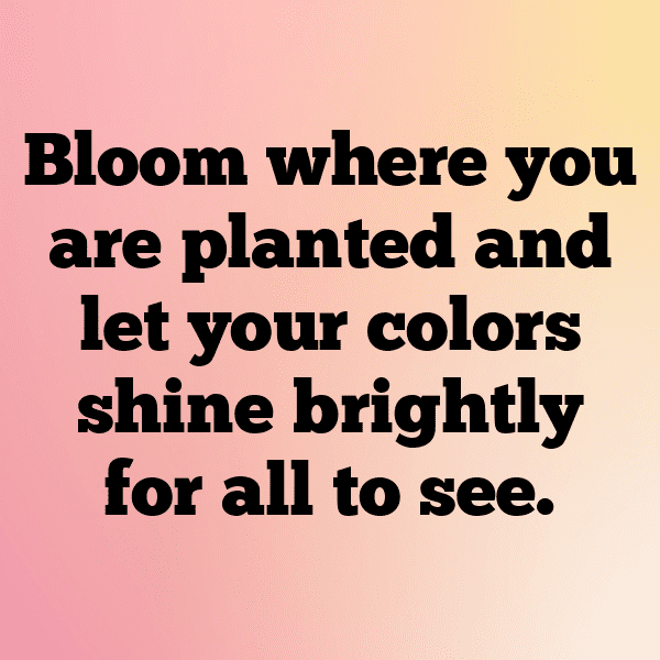 219+ Statice Captions For Instagram (Fresh & Trendy) 3 Statice Captions Photo For Instagram-fo9AAQ