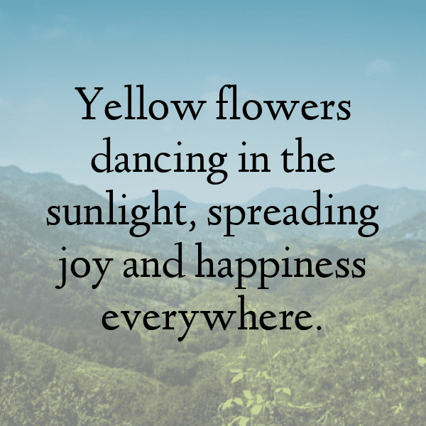 219+ Statice Captions For Instagram (Fresh & Trendy) 8 Statice Captions Photo For Instagram-h1V4lf