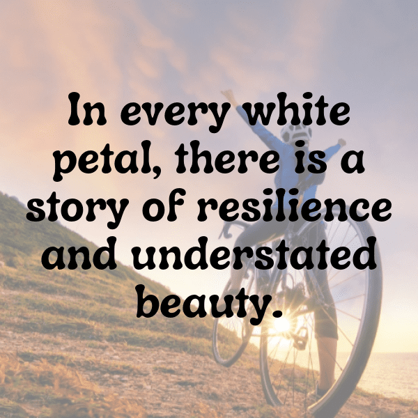 219+ Statice Captions For Instagram (Fresh & Trendy) 6 Statice Captions Photo For Instagram-VY4kyO