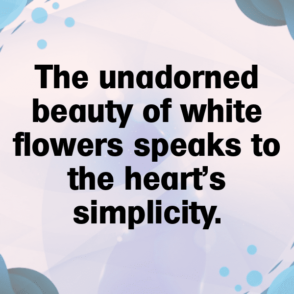 219+ Statice Captions For Instagram (Fresh & Trendy) 7 Statice Captions Photo For Instagram-YrV5R5