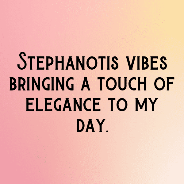 Stephanotis Captions Image For Instagram-PiCZkI