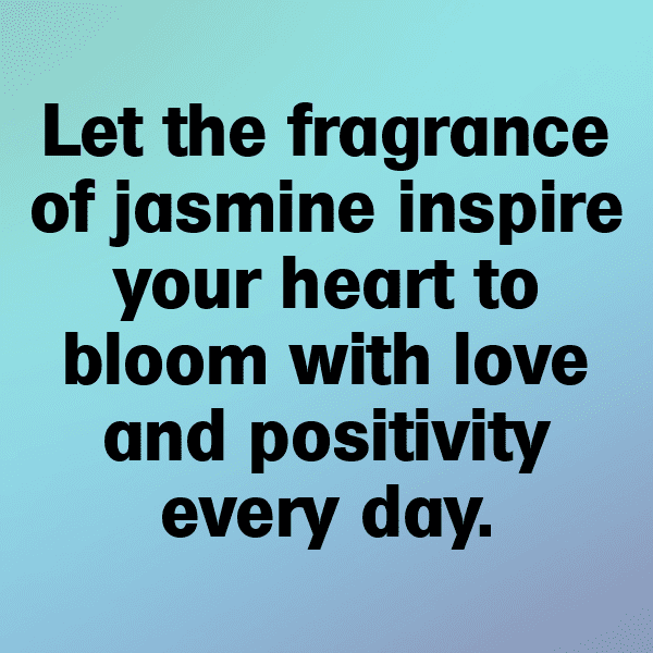 Stephanotis Captions Photo For Instagram-brlAMN