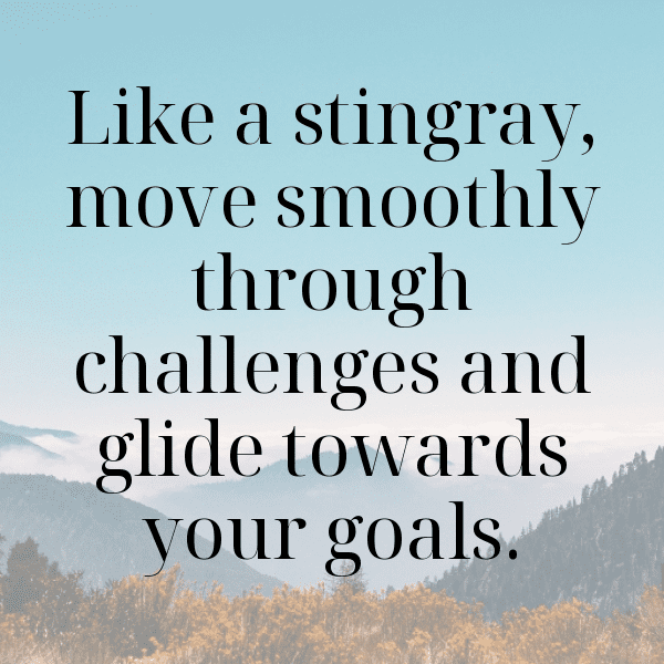 Stingray Captions Image For Instagram-SSE24K