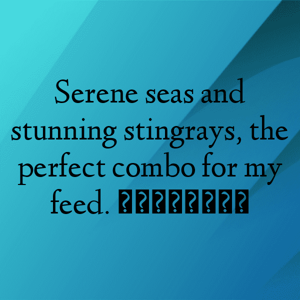 Stingray Captions Photo For Instagram-ZMLaOQ