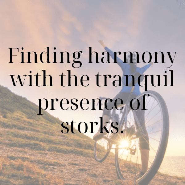 218+ Stork Captions For Instagram In 2025 8 Stork Captions Image For Instagram-1ply5o