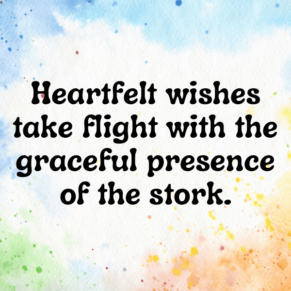 218+ Stork Captions For Instagram In 2025 11 Stork Captions Image For Instagram-bUMmnr