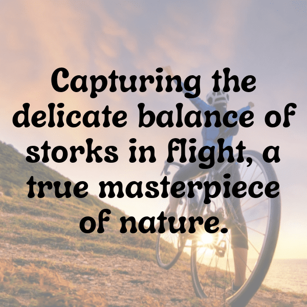 218+ Stork Captions For Instagram In 2025 4 Stork Captions Image For Instagram-gBpJ01