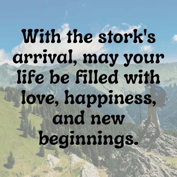 218+ Stork Captions For Instagram In 2025 9 Stork Captions Image For Instagram-l9i9qG