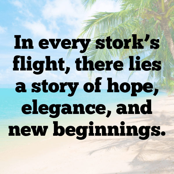 218+ Stork Captions For Instagram In 2025 10 Stork Captions Image For Instagram-MfCDVp