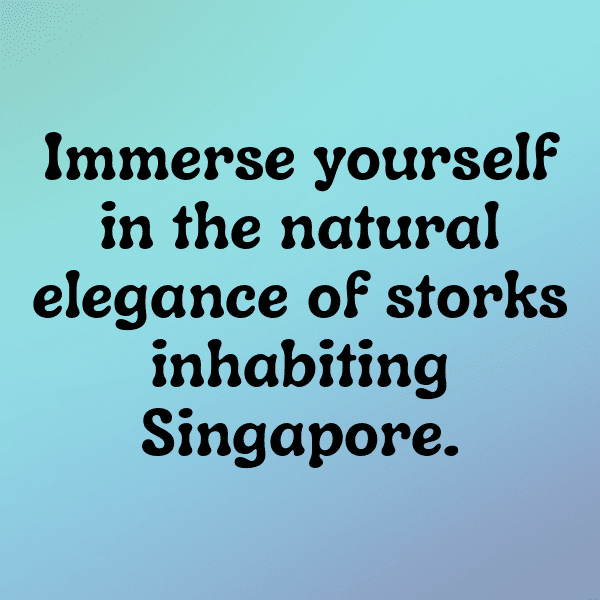 218+ Stork Captions For Instagram In 2025 13 Stork Captions Image For Instagram-YsntpF