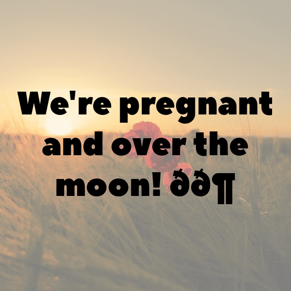 218+ Stork Captions For Instagram In 2025 7 Stork Captions Photo For Instagram-bkOiJn