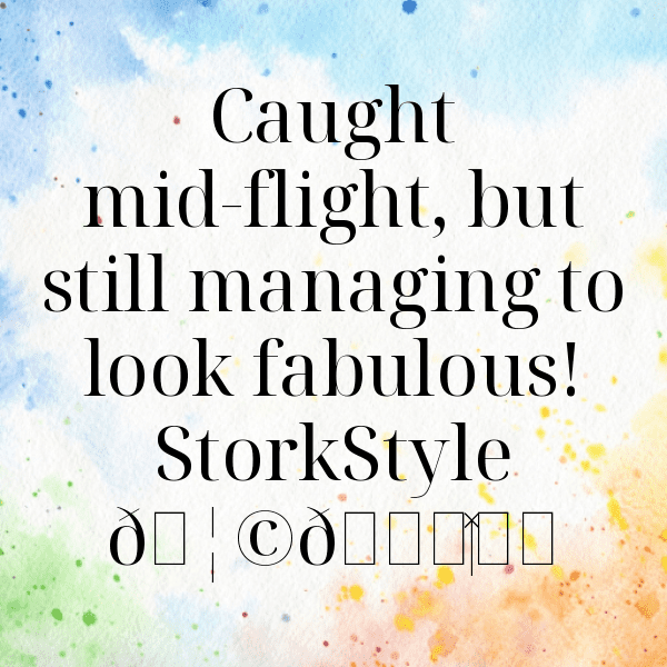 218+ Stork Captions For Instagram In 2025 5 Stork Captions Photo For Instagram-BL261U