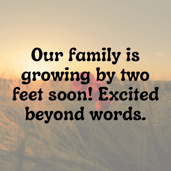 218+ Stork Captions For Instagram In 2025 3 Stork Captions Photo For Instagram-J6H2sE