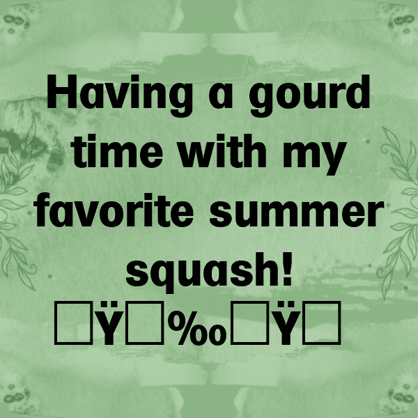 251+ Summer Squash Captions For Instagram In 2025 4 Summer Squash Captions Image For Instagram-oCOqPo