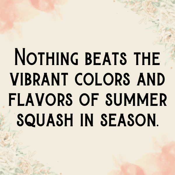 251+ Summer Squash Captions For Instagram In 2025 5 Summer Squash Captions Photo For Instagram-4V8qxP
