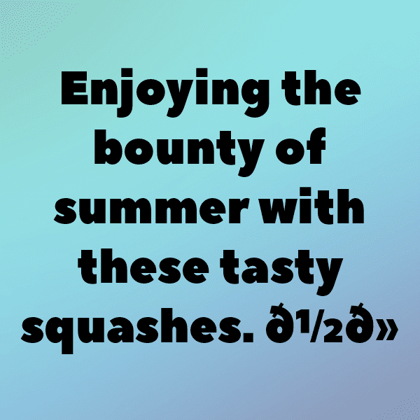 251+ Summer Squash Captions For Instagram In 2025 7 Summer Squash Captions Photo For Instagram-fjckGe