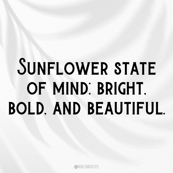 Sunflower Captions Image For Instagram-tToabD