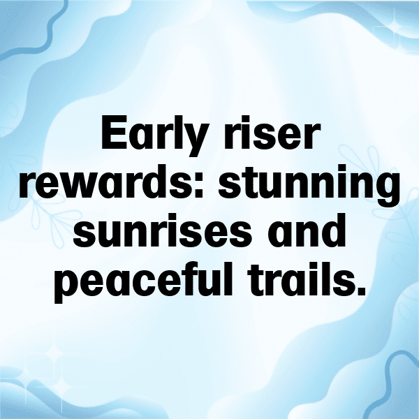 317+ Sunrise Hike Captions for Instagram (Best, Funny & Short) 15 Sunrise Hike Captions Photo for Instagram-cLBFam