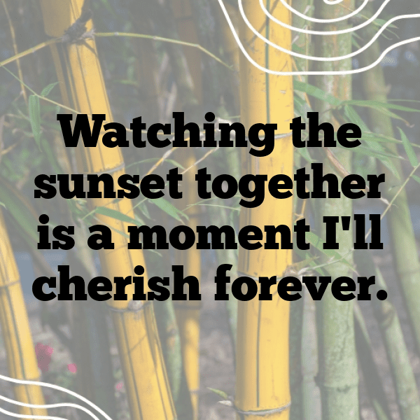 232+ Sunset Captions for Instagram (Best, Funny & Short) 13 Sunset Captions Image for Instagram-5Id4pr