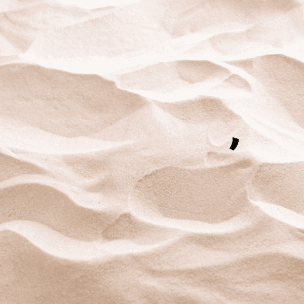 232+ Sunset Captions for Instagram (Best, Funny & Short) 14 Sunset Captions Image for Instagram-lXWMvj