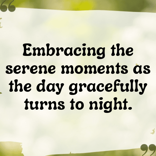 232+ Sunset Captions for Instagram (Best, Funny & Short) 11 Sunset Captions Photo for Instagram-BCH3B0