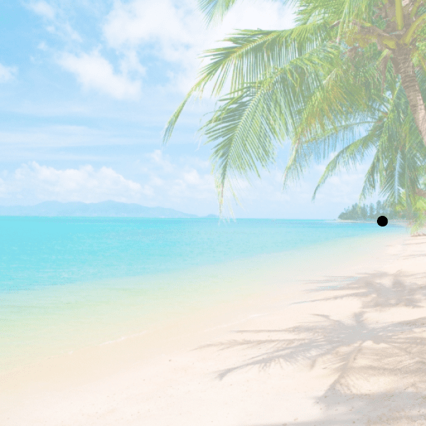 232+ Sunset Captions for Instagram (Best, Funny & Short) 18 Sunset Captions Photo for Instagram-jCIEZ9