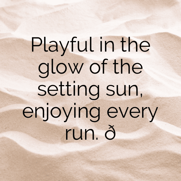 232+ Sunset Captions for Instagram (Best, Funny & Short) 21 Sunset Captions Photo for Instagram-vgRAS2