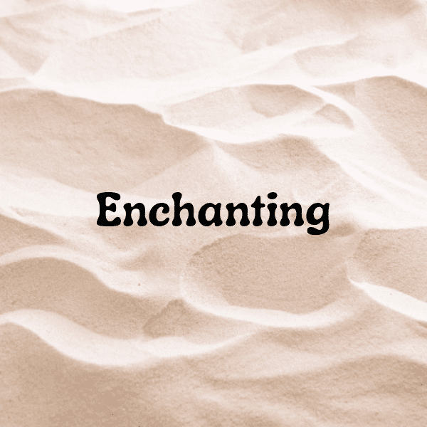 232+ Sunset Captions for Instagram (Best, Funny & Short) 3 Sunset Captions Photo for Instagram-xuetiT