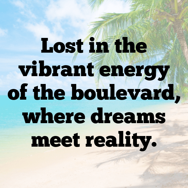 328+ Suzuki Boulevard Captions for Instagram (Short, Trending & Viral) 12 Suzuki Boulevard Captions Photo for Instagram-5ffLVI