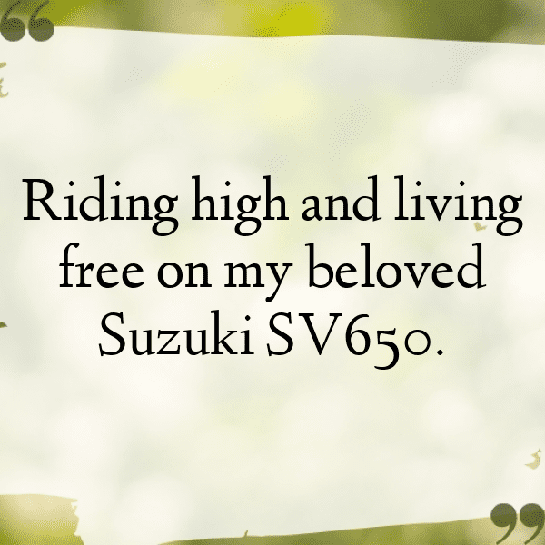299+ Suzuki SV650 Captions for Instagram (Trending, Funny & Top) 4 Suzuki SV650 Captions Image for Instagram-l1gnEM