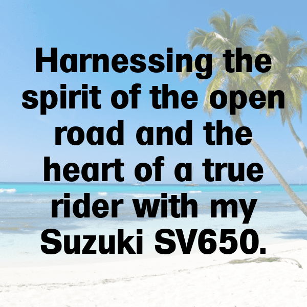 299+ Suzuki SV650 Captions for Instagram (Trending, Funny & Top) 3 Suzuki SV650 Captions Photo for Instagram-XcB2ST