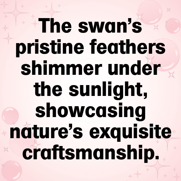 279+ Swan Captions For Instagram In 2025 13 Swan Captions Image For Instagram-Hj2rUP