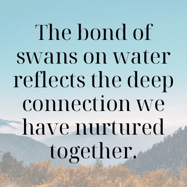 279+ Swan Captions For Instagram In 2025 6 Swan Captions Image For Instagram-Rprpcn