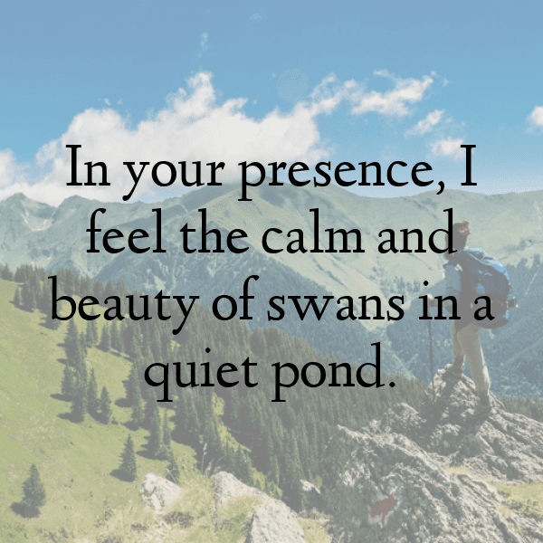 279+ Swan Captions For Instagram In 2025 10 Swan Captions Photo For Instagram-B3FPZ4