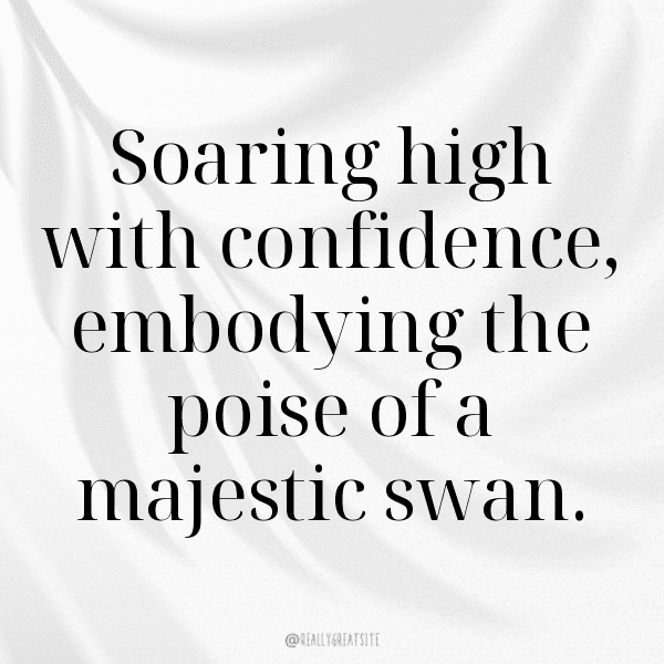 279+ Swan Captions For Instagram In 2025 8 Swan Captions Photo For Instagram-xtnZY0