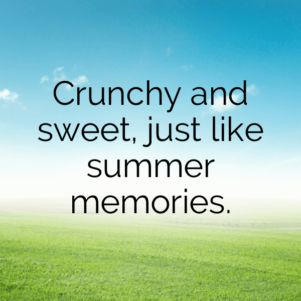 Sweet Corn Captions Image For Instagram-14PXW2