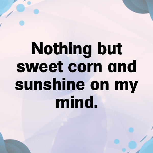 Sweet Corn Captions Image For Instagram-rHwE5V
