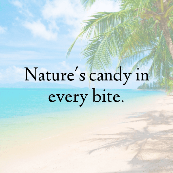 Sweet Corn Captions Image For Instagram-zsvHfU