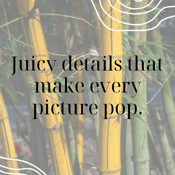 245+ Sweet Lemon Captions For Instagram (Best, Funny & Short) 13 Sweet Lemon Captions Image For Instagram-4PJdNx