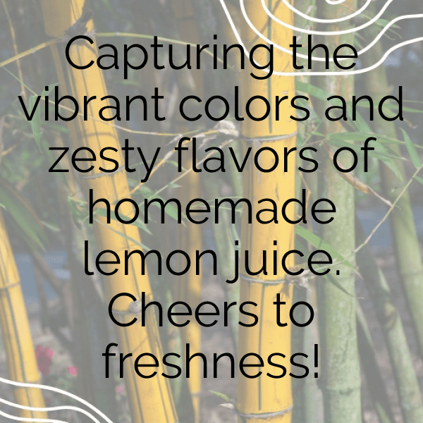 245+ Sweet Lemon Captions For Instagram (Best, Funny & Short) 5 Sweet Lemon Captions Photo For Instagram-o4MT5J