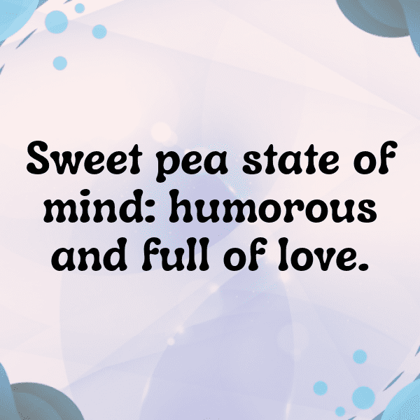 313+ Sweet Pea Captions For Instagram In 2025 4 Sweet Pea Captions Image For Instagram-8I7esc