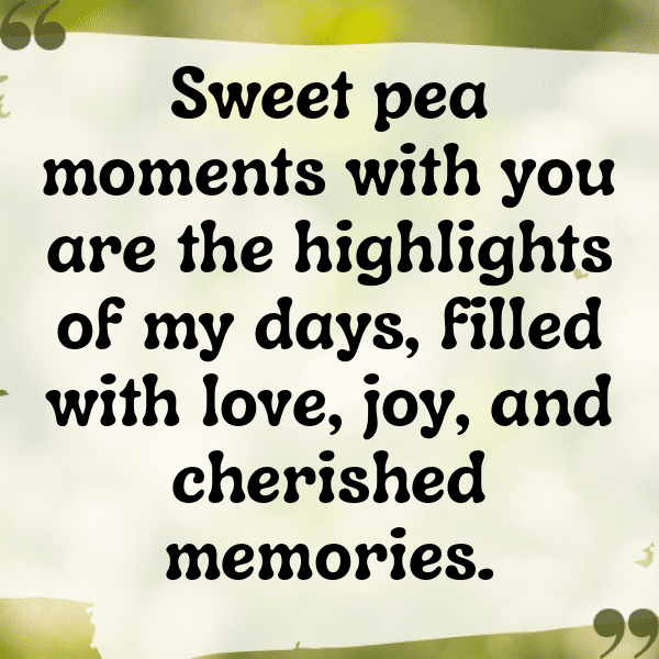 313+ Sweet Pea Captions For Instagram In 2025 8 Sweet Pea Captions Image For Instagram-yTa72Y
