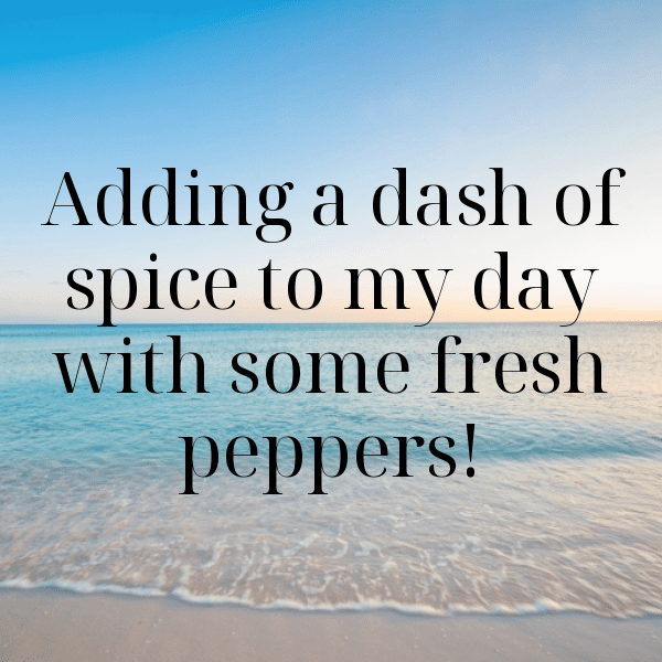 283+ Sweet Pepper Captions For Instagram (Best, Funny & Short) 12 Sweet Pepper Captions Image For Instagram-km0fdb