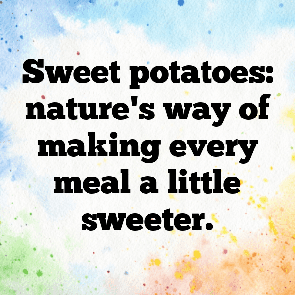 231+ Sweet Potato Captions For Instagram (Fresh & Trendy) 3 Sweet Potato Captions Image For Instagram-R0y63C